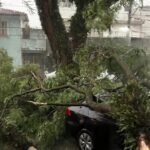 Mortes, ventos de mais de 100 km/h, desabamentos e queda de árvores: o temporal em SP Mortes, ventos de mais de 100 km/h, desabamentos e queda de árvores: o temporal em SP
