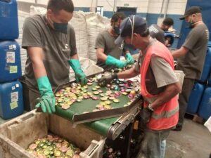 Coletar, separar, descaracterizar: entenda o processo de reciclagem de cápsulas de café