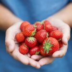 Anvisa: um em 4 vegetais tem agrotóxicos proibidos ou acima do limite