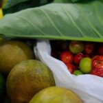 Presidente Lula sanciona com vetos projeto de lei sobre agrotóxicos no Brasil Presidente Lula sanciona com vetos projeto de lei sobre agrotóxicos no Brasil