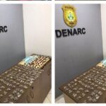 DENARC apreende drogas e dinheiro em operação no Bairro Wanderley Dantas, em Rio Branco