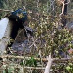 Tragédia Aérea no Acre: IML encerra análise sem identificar corpo de última vítima Tragédia Aérea no Acre: IML encerra análise sem identificar corpo de última vítima