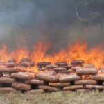 Cerca de 750 kg de drogas apreendidas são destruídas no AM