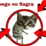 Coluna da Angélica no NHN – Mesa diretora defende vereador flagrado em casa noturna com carro alugado pela Câmara Coluna da Angélica no NHN – Mesa diretora defende vereador flagrado em casa noturna com carro alugado pela Câmara