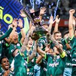 Palmeiras se isola como maior campeão nacional; veja ranking