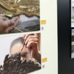 STF abre mostra sobre reconstrução após 8 de Janeiro nesta terça-feira STF abre mostra sobre reconstrução após 8 de Janeiro nesta terça-feira