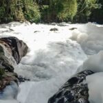 Joinville decreta emergência após vazamento de ácido sulfônico