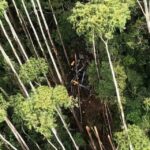 Polícias trabalham para abrir caminho até destroços de helicóptero em SP
