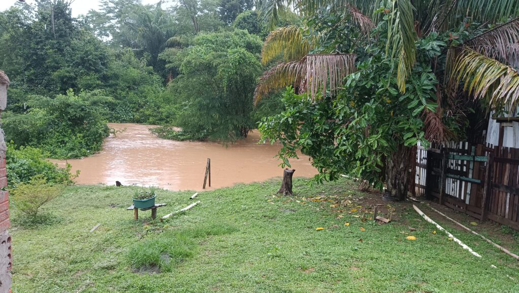 Friale diz que não há tendência para enchentes alarmantes