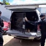 Ação policial no Taquari resulta na detenção de dois suspeitos com arma de fogo Ação policial no Taquari resulta na detenção de dois suspeitos com arma de fogo