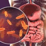 Síndromes diarréicas registram mais de 30% de aumento em um ano, segundo Sesacre Síndromes diarréicas registram mais de 30% de aumento em um ano, segundo Sesacre