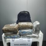 Cão farejador encontra R$ 200 mil em skunk dentro de ferry boat no AM