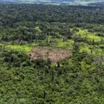 Indígenas karipuna denunciam aumento de invasores em sua terra