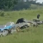 Chuva e destroços pelo ar: O que se sabe sobre queda de avião em MG