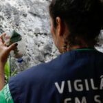 Drone, edição genética e mais: o que a ciência está fazendo para conter o surto de dengue