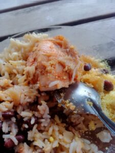 Desabrigados do Parque de Exposições denunciam que estão servindo comida crua