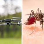 Startup propõe uso de drones para combater mosquito da dengue