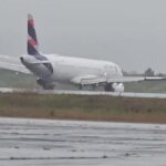 Aumenta os incidentes de colisões de aves com aviões no Aeroporto de Rio Branco