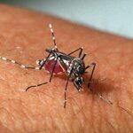 COE Dengue: Ministério da Saúde coordena estratégias de combate à dengue no Acre