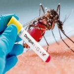 Mulheres pardas na faixa etária de 30 a 59 anos são as mais afetadas pela dengue no Acre Mulheres pardas na faixa etária de 30 a 59 anos são as mais afetadas pela dengue no Acre