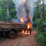Operação Robert Jordan: PF e Ibama apreendem caminhões, máquinas e garimpeiros em reservas de Rondônia Operação Robert Jordan: PF e Ibama apreendem caminhões, máquinas e garimpeiros em reservas de Rondônia