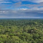 Acre lidera redução do desmatamento na Amazônia por 10 meses consecutivos Acre lidera redução do desmatamento na Amazônia por 10 meses consecutivos