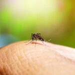 Brasil registra 4 vezes mais casos de dengue em janeiro deste ano; confira estados mais afetados Brasil registra 4 vezes mais casos de dengue em janeiro deste ano; confira estados mais afetados