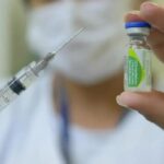 Distribuição da vacina contra a dengue começa na próxima semana Distribuição da vacina contra a dengue começa na próxima semana