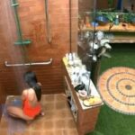 Wanessa, Viih Tube e mais: os brothers que reclamaram de tomar banho no BBB