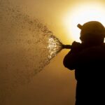 STF determina plano de combate a incêndios no Pantanal e na Amazônia STF determina plano de combate a incêndios no Pantanal e na Amazônia