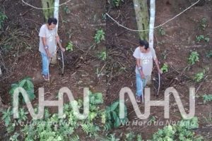 Idoso que disse que iria ‘morar nas matas’ é encontrado pela família na Transacreana e passa bem