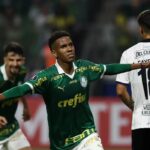 Palmeiras vence em casa para assumir do Grupo F da Libertadores Palmeiras vence em casa para assumir do Grupo F da Libertadores