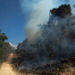 Alertas de queimadas em 2024 são os mais altos dos últimos 7 anos