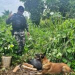 Polícia Militar apreende mais de 5kg de drogas no bairro Eldorado