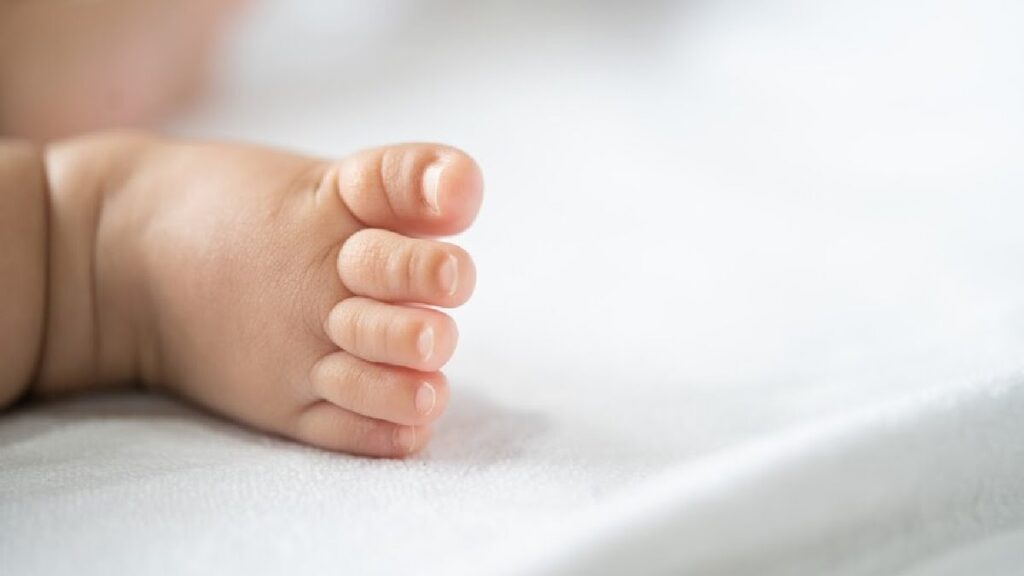 Tragédia no Pará: Bebê de seis meses morre em acidente após queda de rede