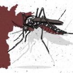 Acre registra diminuição expressiva de casos graves de dengue e nenhuma morte no primeiro trimestre de 2024 Acre registra diminuição expressiva de casos graves de dengue e nenhuma morte no primeiro trimestre de 2024
