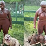 Jojo Todynho debocha de comentários de seguidoras sobre focinheiras em pitbulls; entenda Jojo Todynho debocha de comentários de seguidoras sobre focinheiras em pitbulls; entenda