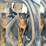 PF acha outro fuzil escondido em carro usado por fugitivos de Mossoró PF acha outro fuzil escondido em carro usado por fugitivos de Mossoró