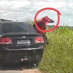 Em ligações, fugitivos de Mossoró revelam detalhes dos 50 dias de esconderijo e plano de ir para Bolívia Em ligações, fugitivos de Mossoró revelam detalhes dos 50 dias de esconderijo e plano de ir para Bolívia