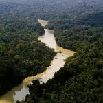 Brasil não trata meio ambiente com seriedade, diz promotor Brasil não trata meio ambiente com seriedade, diz promotor