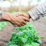 Agricultores do Acre podem renegociar dívidas por intempéries climáticas e queda de preços