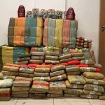 Bope apreende cerca de 300 kg de skank em fazenda após incidente com avião Bope apreende cerca de 300 kg de skank em fazenda após incidente com avião