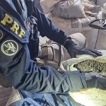 PRF faz a maior apreensão de minérios ilegais de Rondônia