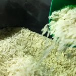 Governo autoriza compra de 1 milhão de toneladas de arroz Governo autoriza compra de 1 milhão de toneladas de arroz