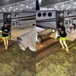 Nattan resgata cachorros, mas falha em vingança contra sertanejos: 'Limite zero' Nattan resgata cachorros, mas falha em vingança contra sertanejos: 'Limite zero'
