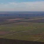 Em meio à expansão do desmatamento, Piauí debate nova lei ambiental Em meio à expansão do desmatamento, Piauí debate nova lei ambiental