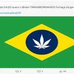 Veja os memes sobre descriminalização do porte individual de maconha