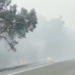 Fogo no Pantanal dificulta visibilidade em principal estrada para Corumbá (MS)