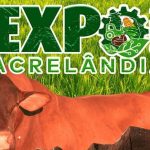 Shows, rodeio e inovação empresarial com o Sebrae serão atrações da Expo Acrelândia 2024 Shows, rodeio e inovação empresarial com o Sebrae serão atrações da Expo Acrelândia 2024
