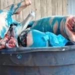 Contrabando de Carne: Comerciante brasileiro é interceptado com 200 quilos de produtos irregulares em Cobija